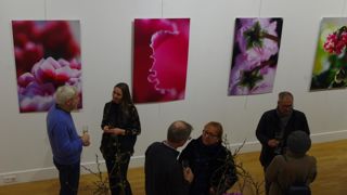 Le 6 février 2020, l’exposition éphémère - « Complètement Cyclamen » - était organisée à Paris dans l’espace Charlot. ©Y. Haddad Le 6 février 2020, l’exposition éphémère - « Complètement Cyclamen » - était organisée à Paris dans l’espace Charlot. ©Y. Haddad